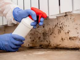 Best Mold Prevention Services in USA